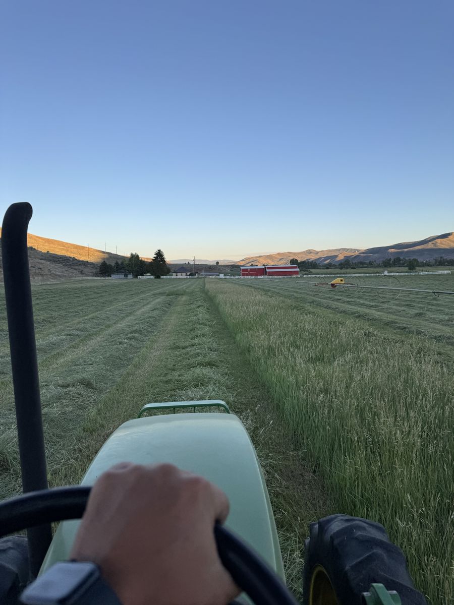 Grass hay available