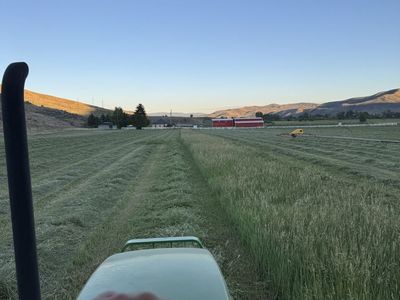 Grass hay available