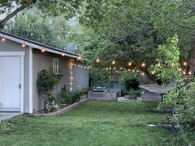 Indoor / Outdoor Edison Bulb String Lights for Backyard, Porch, or Home