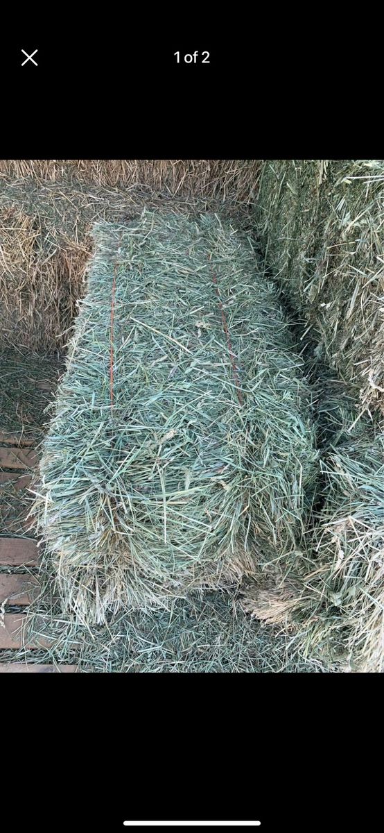 Premium Grass Hay