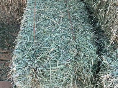 Premium Grass Hay