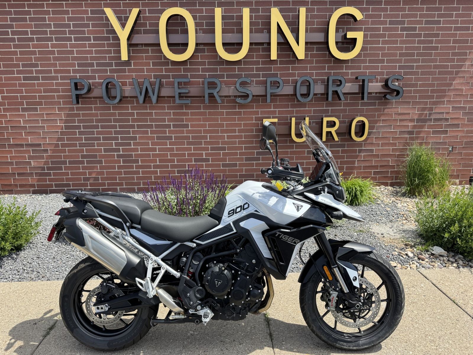 2024 Triumph Tiger 900 GT Pro