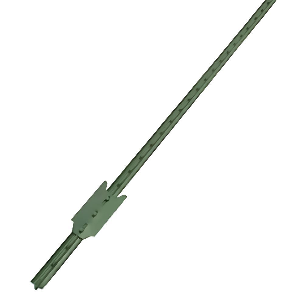 Main image 3