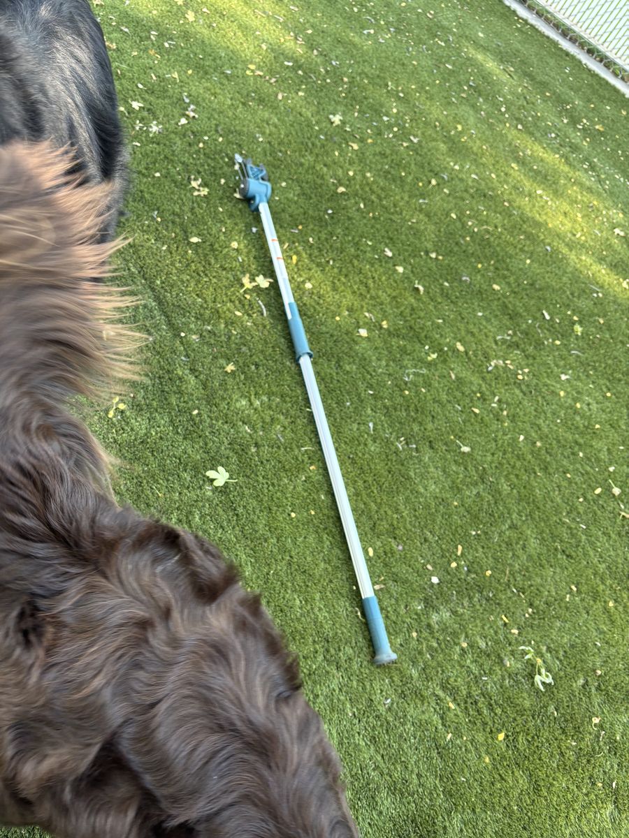 Tree trimmer