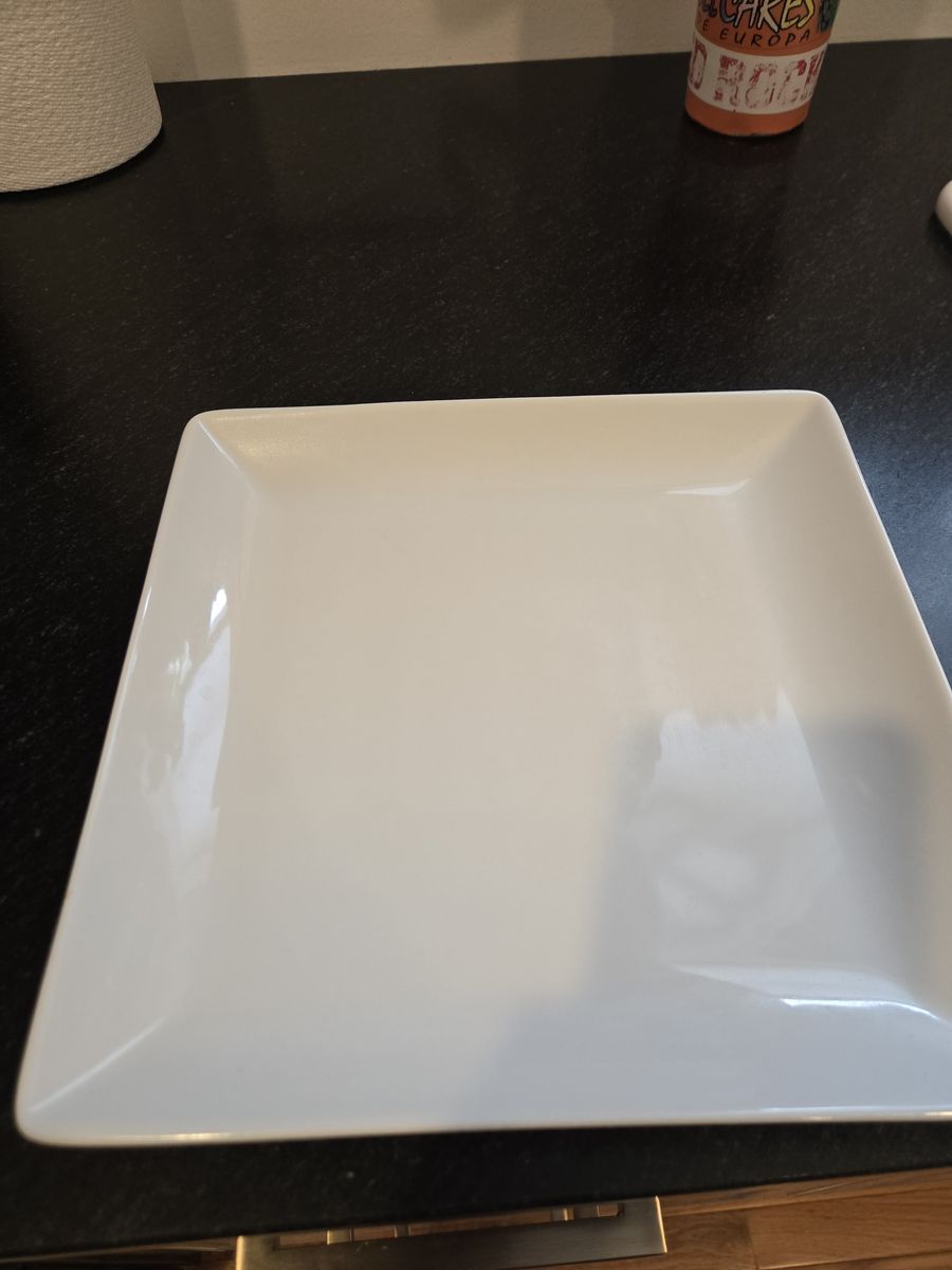 10 x 10 dinner plate set