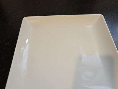 10 x 10 dinner plate set