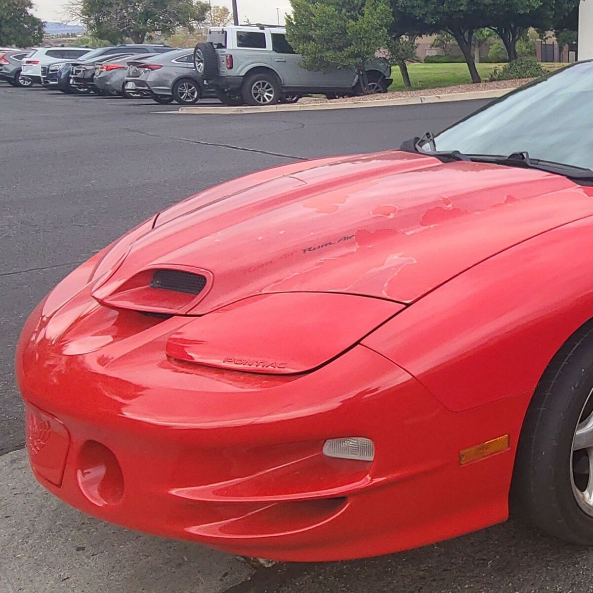 2001 Pontiac Firebird Trans Am