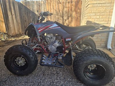 Yamaha Raptor 250