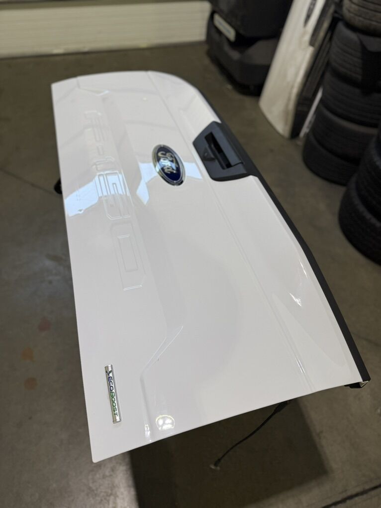 2015 2016 2017 2018 2019 2020 Ford F150 Taillgates