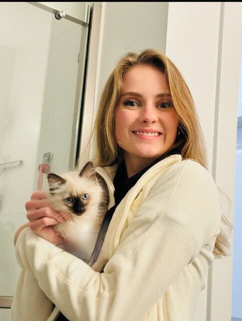 Teacup Ragdolls (Seal & Blue Point Beauties/shed less too!)Puppy loyal temperaments/Follow you everywhere/stay tiny