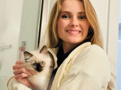 Teacup Ragdolls (Seal & Blue Point Beauties/shed less too!)Puppy loyal temperaments/Follow you everywhere/stay tiny