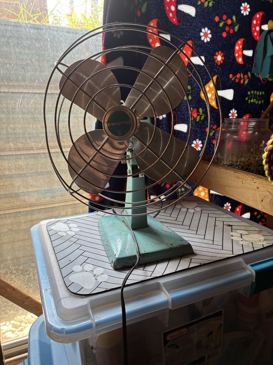Eskimo desk top vintage fan