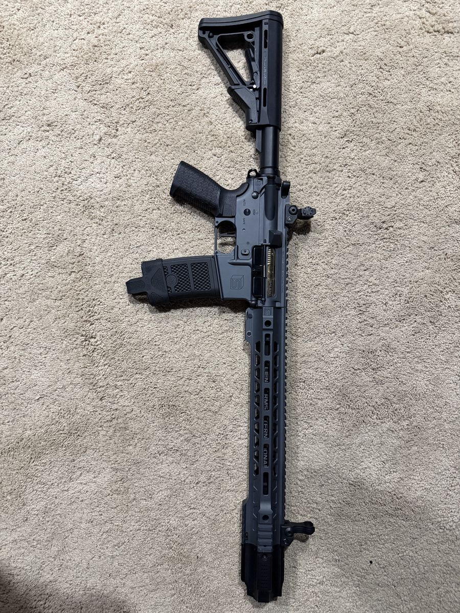 EMG SALIENT gray rifle