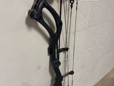 New PSE Bows