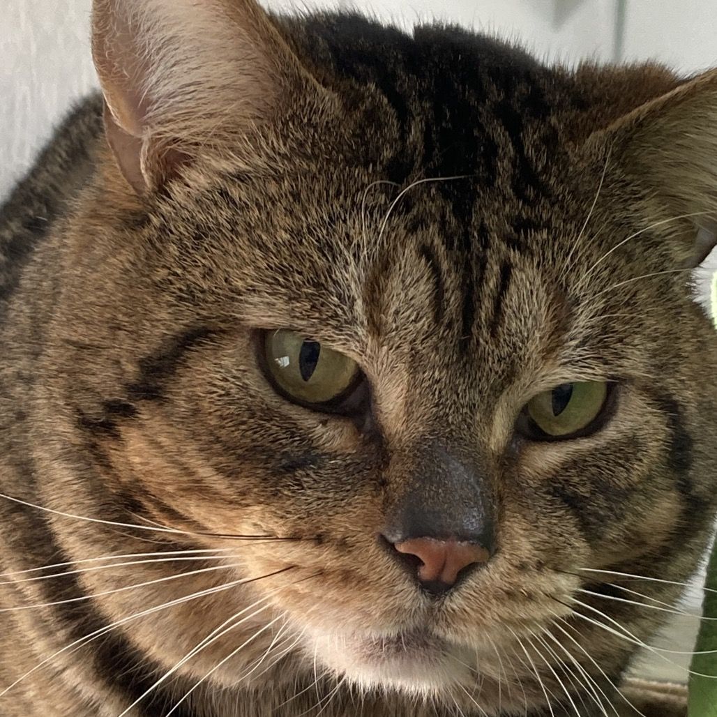 Hello my name is Butch