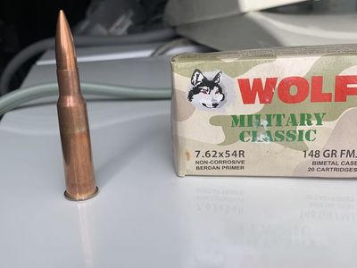 308 Ammo