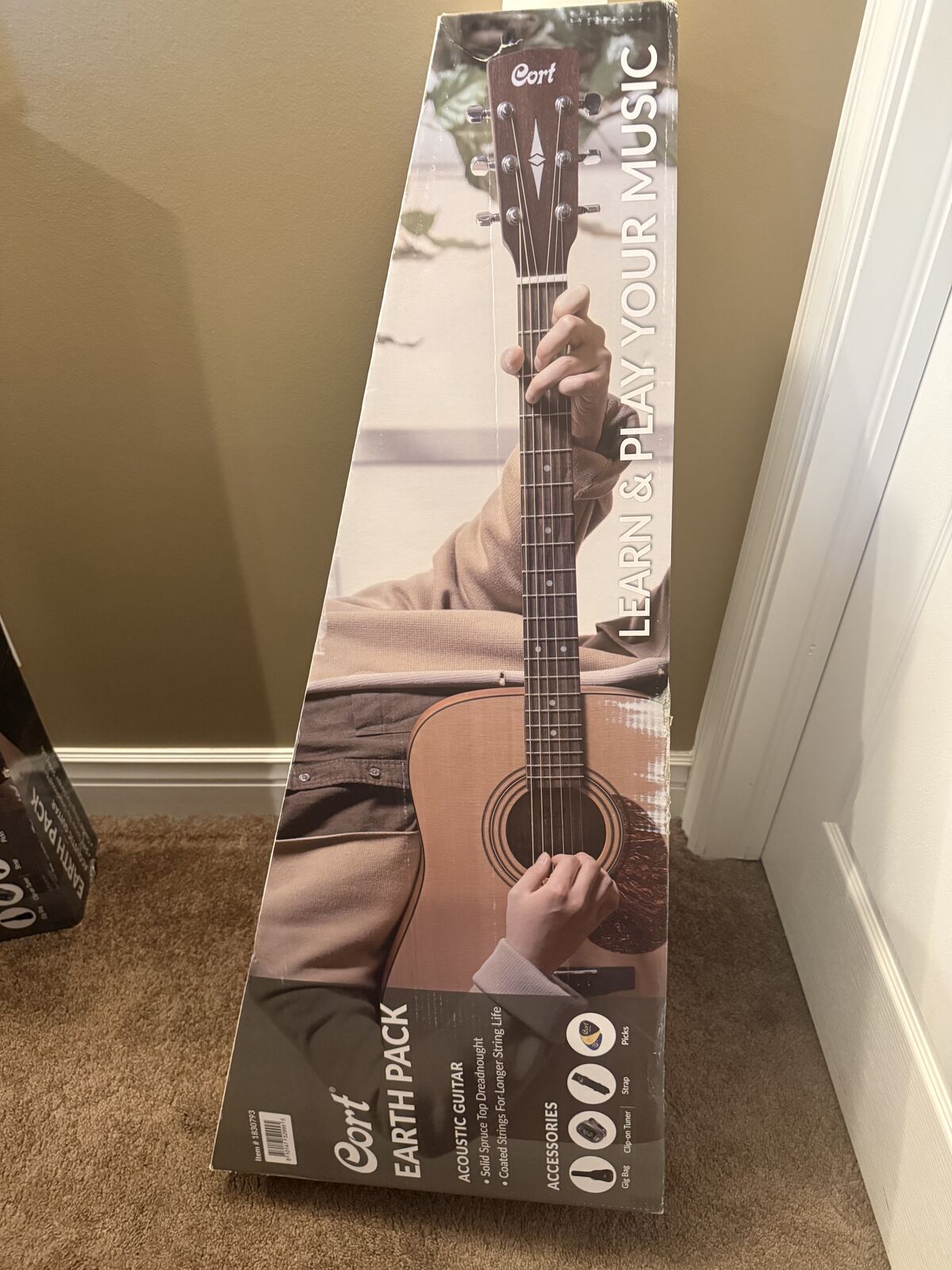 Cort Acoustic Guitar Kit with case and tuner