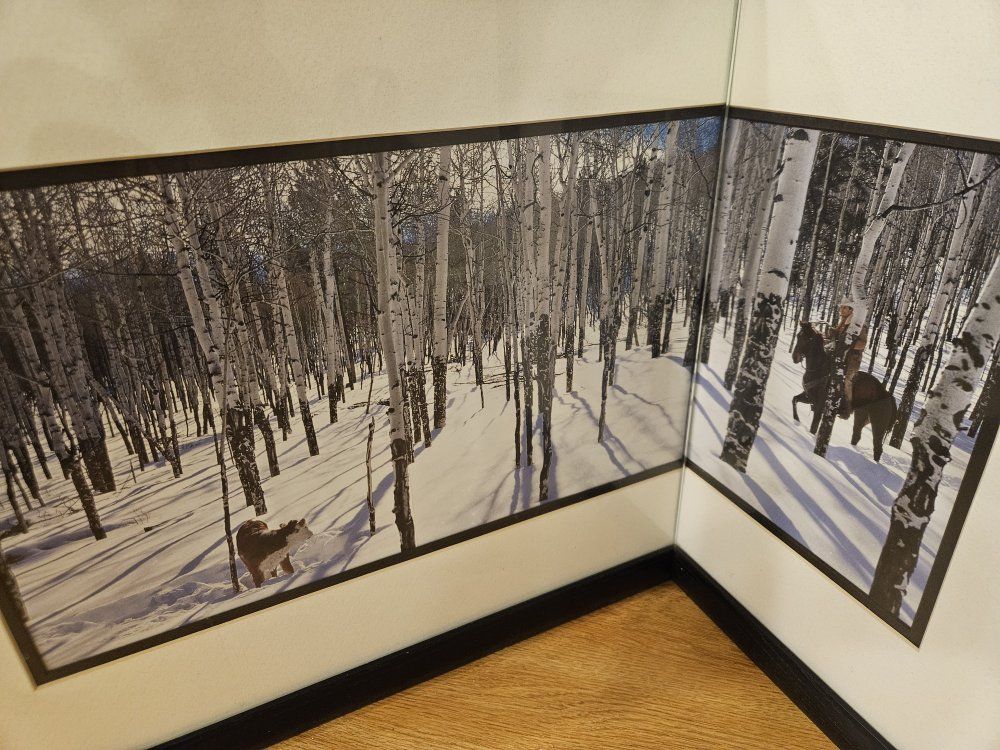 Unique 3D Corner Aspen Forest Wall Art Decor with Horse and Dog in Winter Scene Black Frame