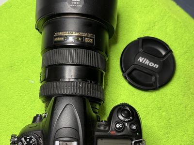 Nikon D7000, 17-55mm f2.8 , works great