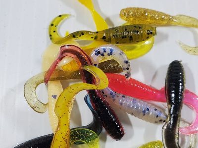 Spring is Sprung!!! 1 1/2 inch Curl Tail Grubs!!