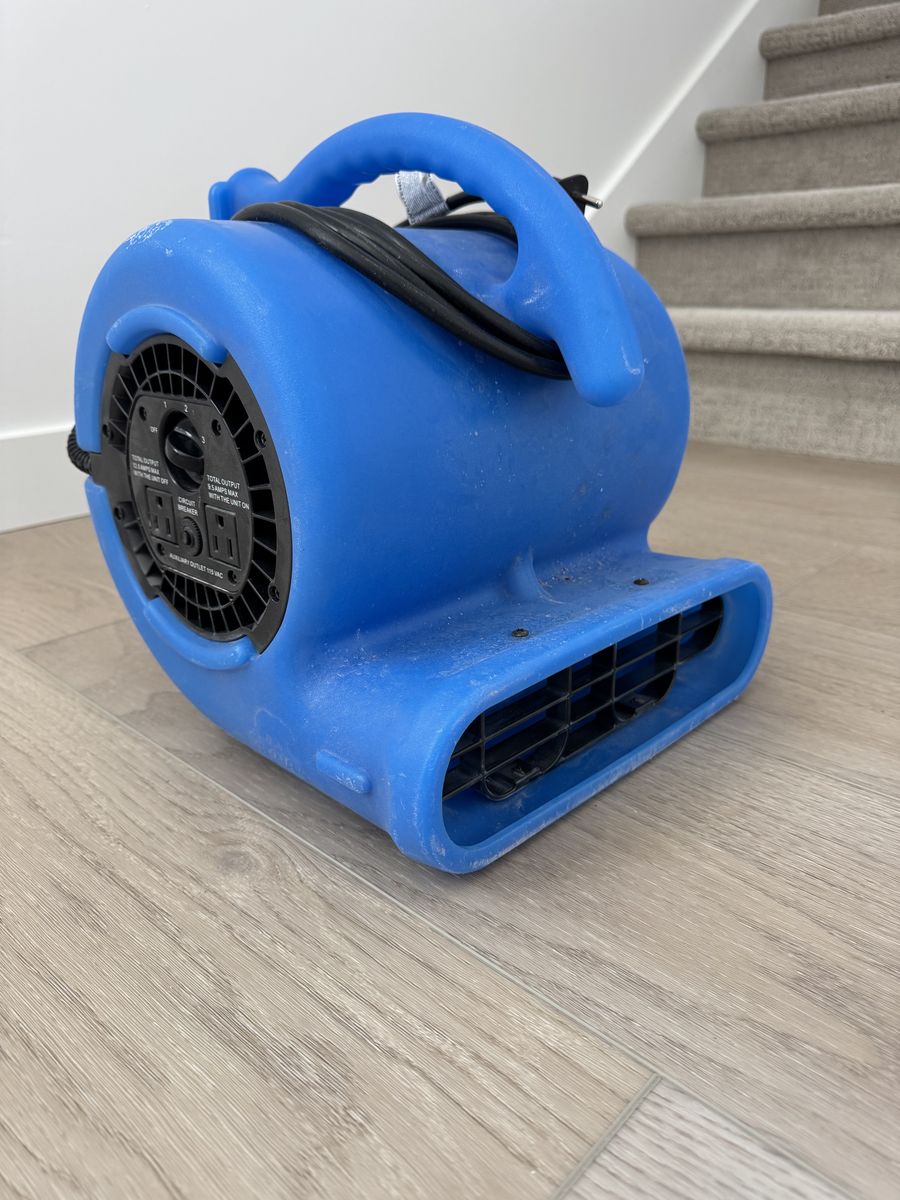 Carpet dryer 1/4 HP