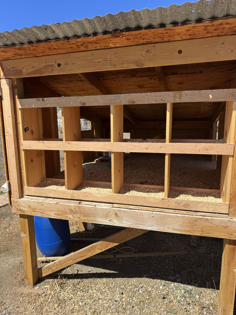 Handmade Wooden Chicken Coop with Corrugated Roof - Multiple Nesting Boxes
