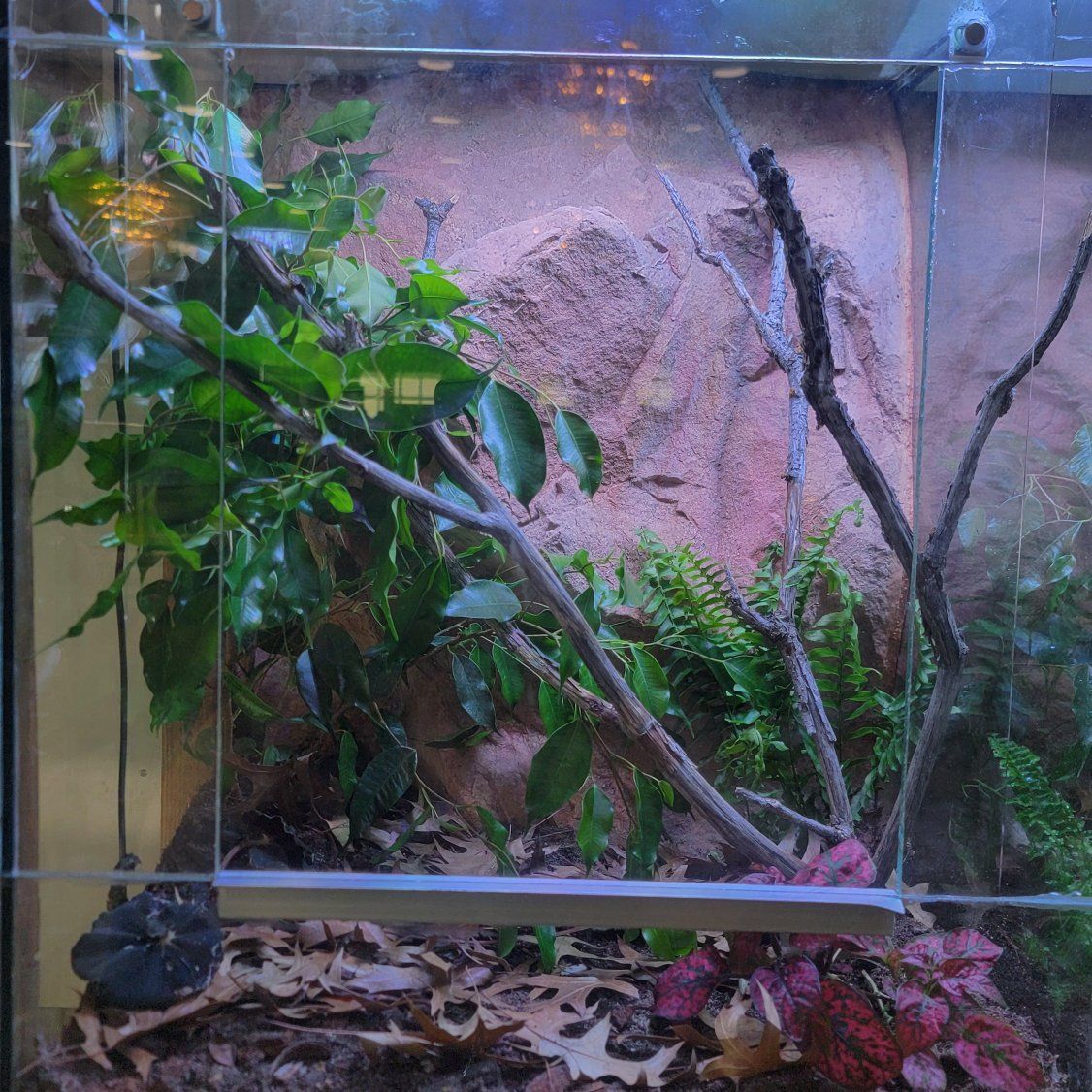 two 18x24 custom enclosures