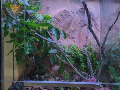 two 18x24 custom enclosures