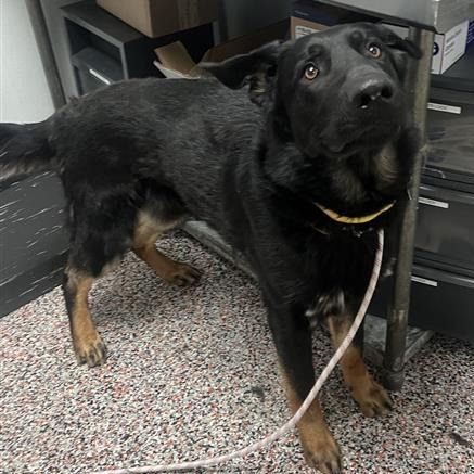 Hello my name is Max