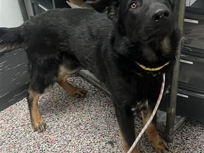 Hello my name is Max