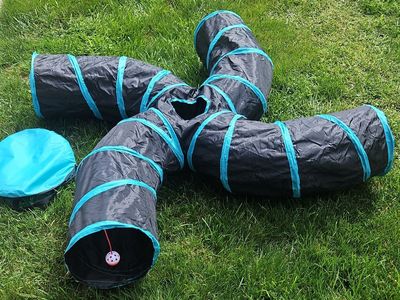 Pet play tunnel