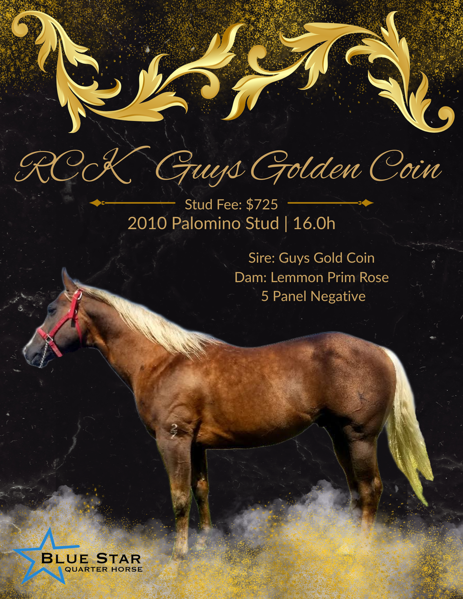 RCK Guys Golden Coin 2010 Palomino Stallion