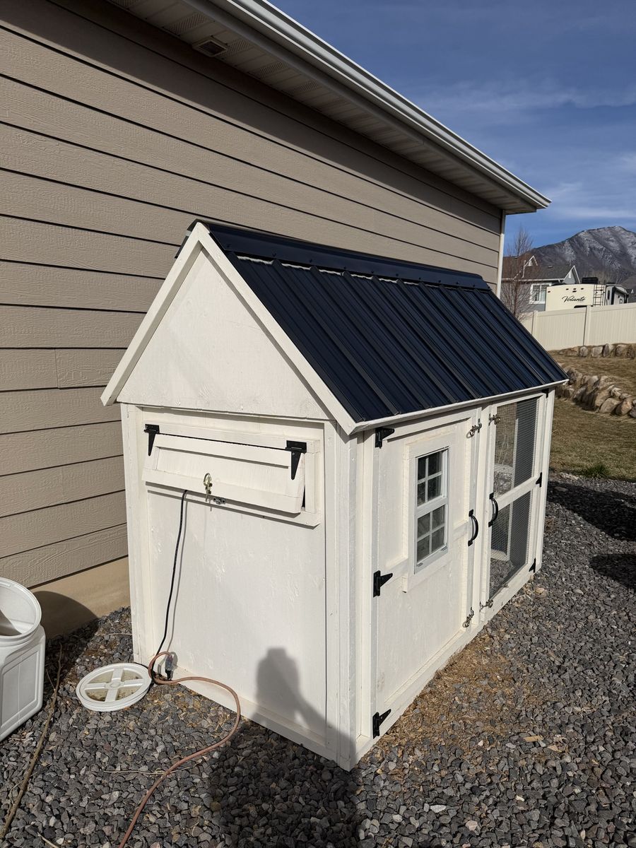 Chicken Coop
