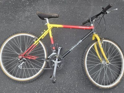 VINTAGE REDLINE MOUNTAIN BIKE WITH ARAYA WHEELS