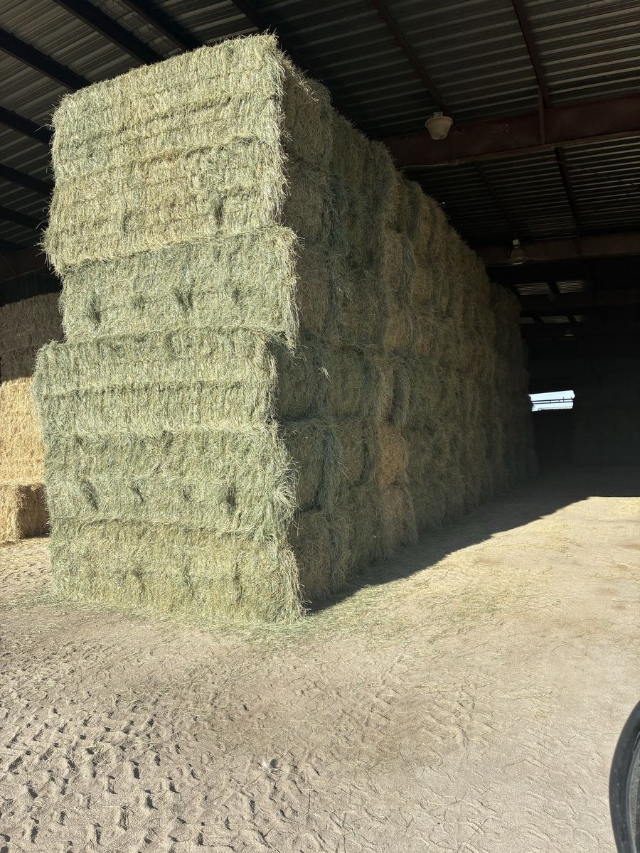Grass hay