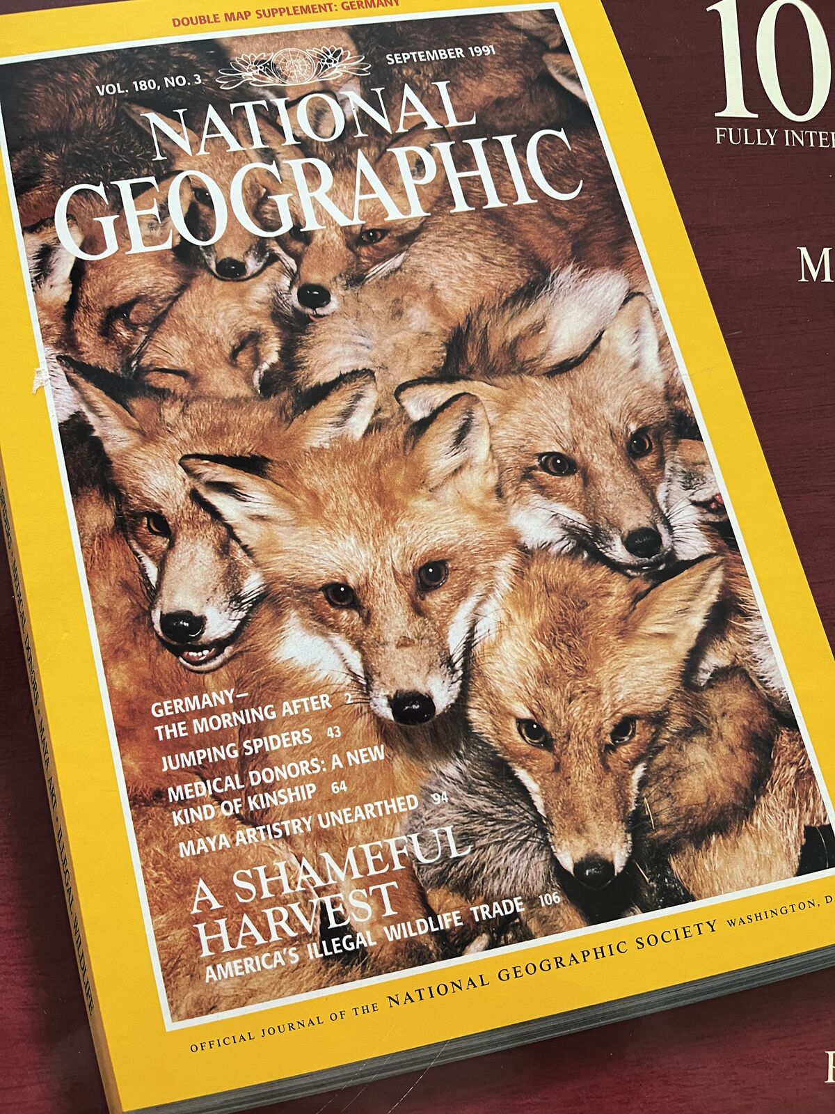 National Geographic Cover Puzzle - 1000 piece