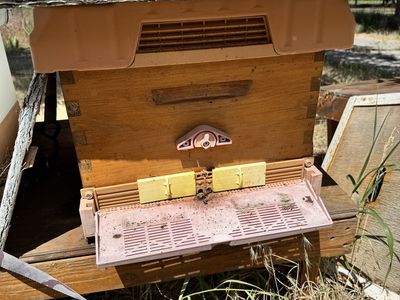 Honey Bee supplies