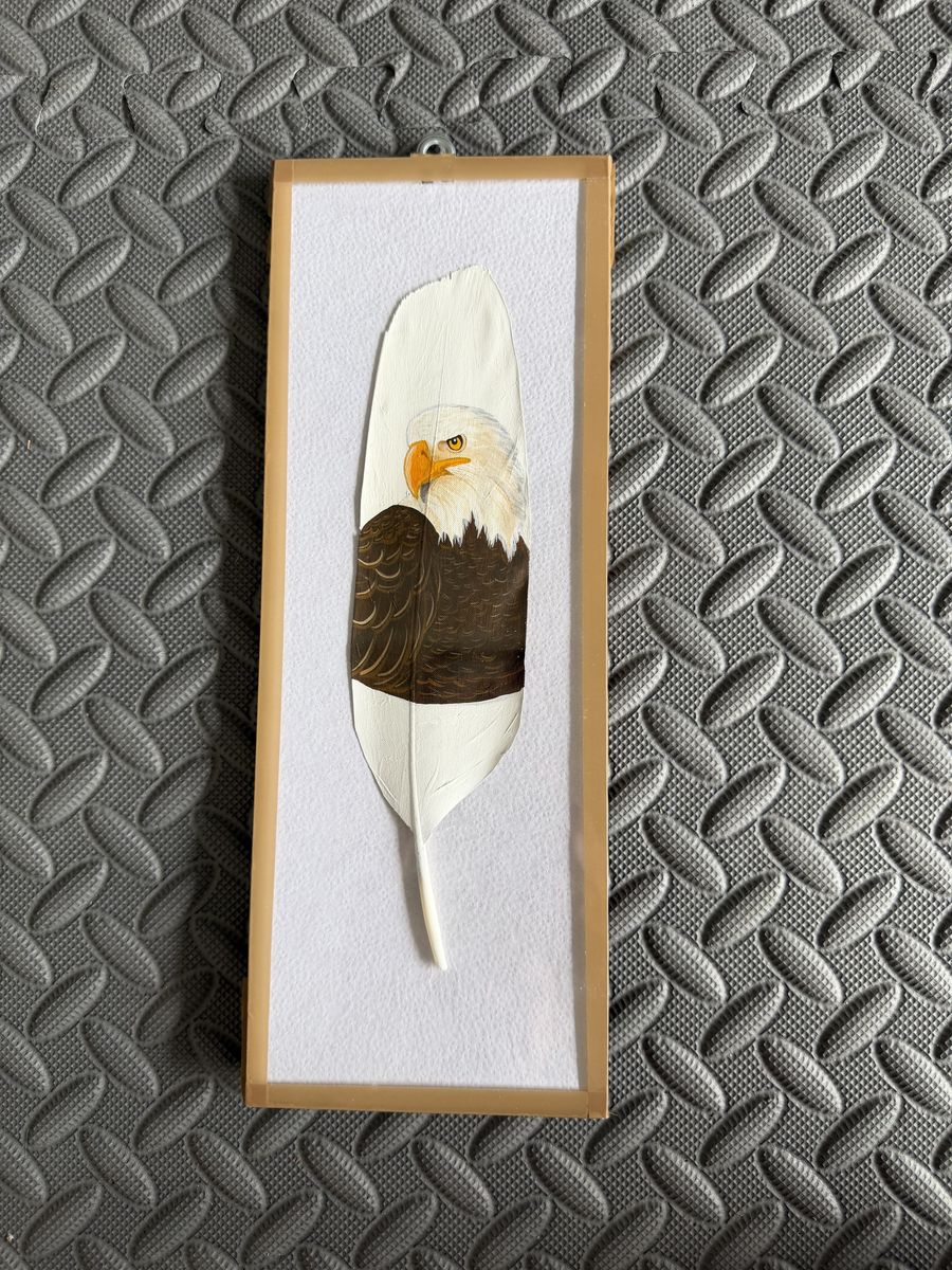 Hand-Painted Bald Eagle Feather Framed Wall Art