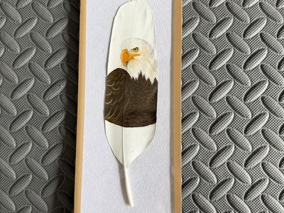 Hand-Painted Bald Eagle Feather Framed Wall Art