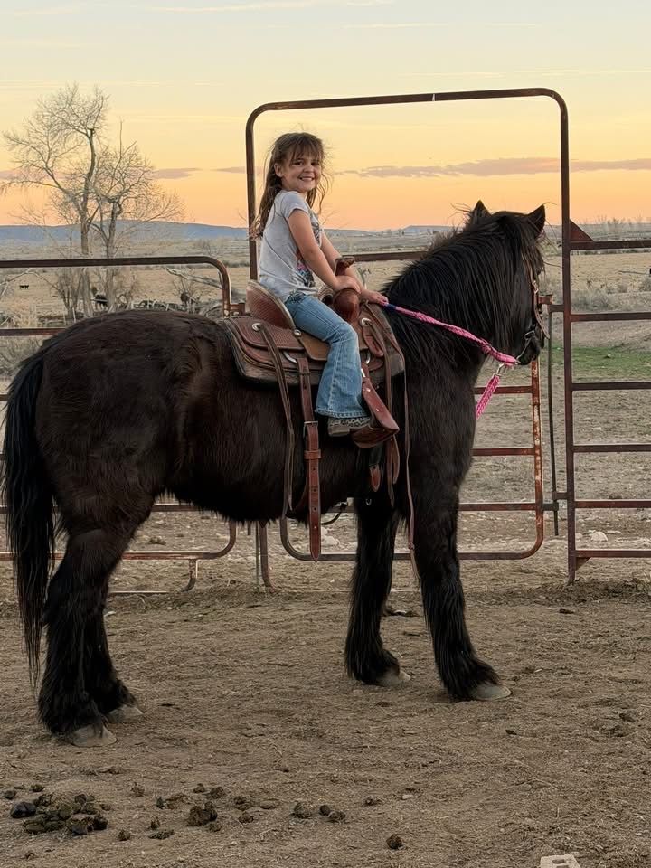 18-19 year old pony