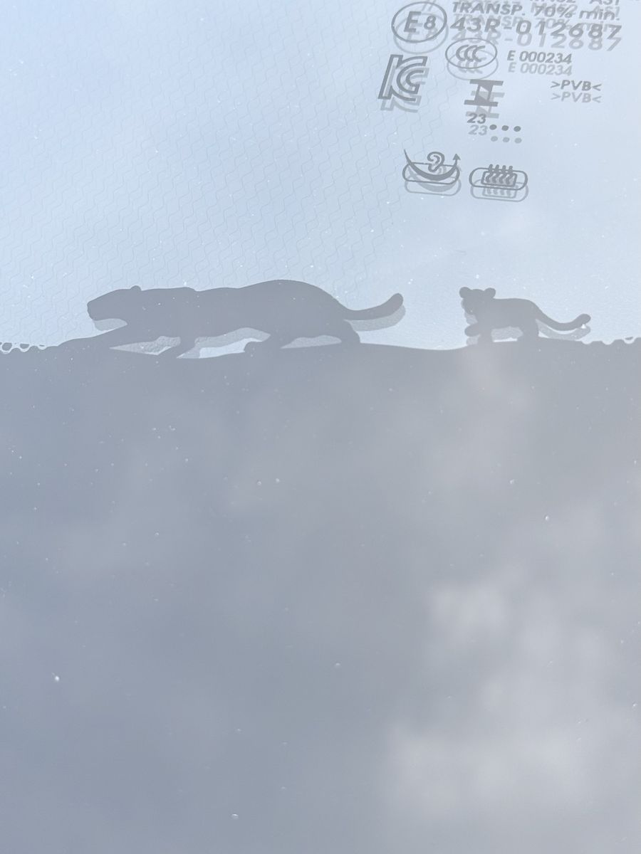 Main image 27