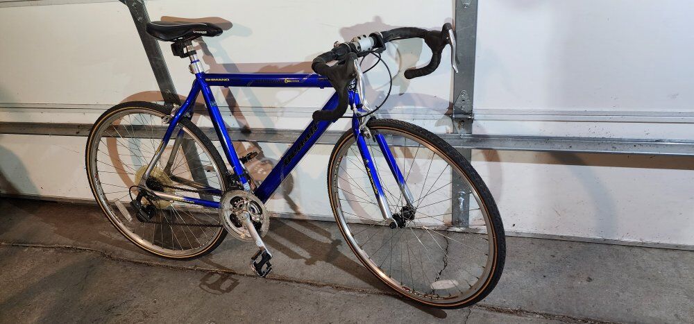 700C Denali Roadbike - Large Frame