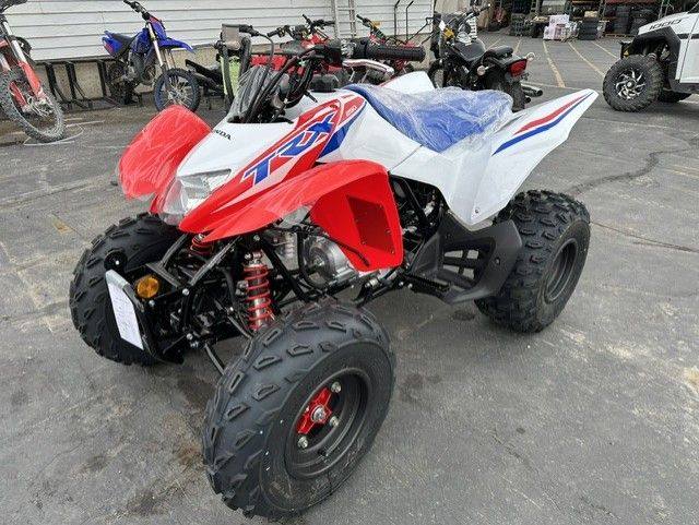 2026 Honda TRX250X