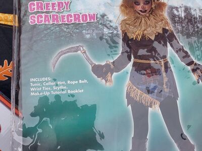 Gilr's size 12/14 Scarecrow