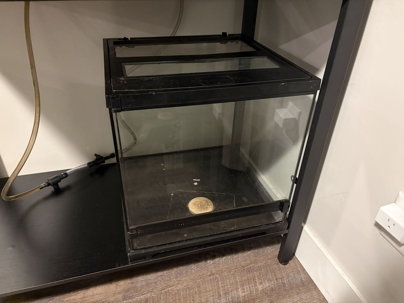 18x18x18 terrarium