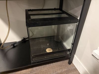 18x18x18 terrarium