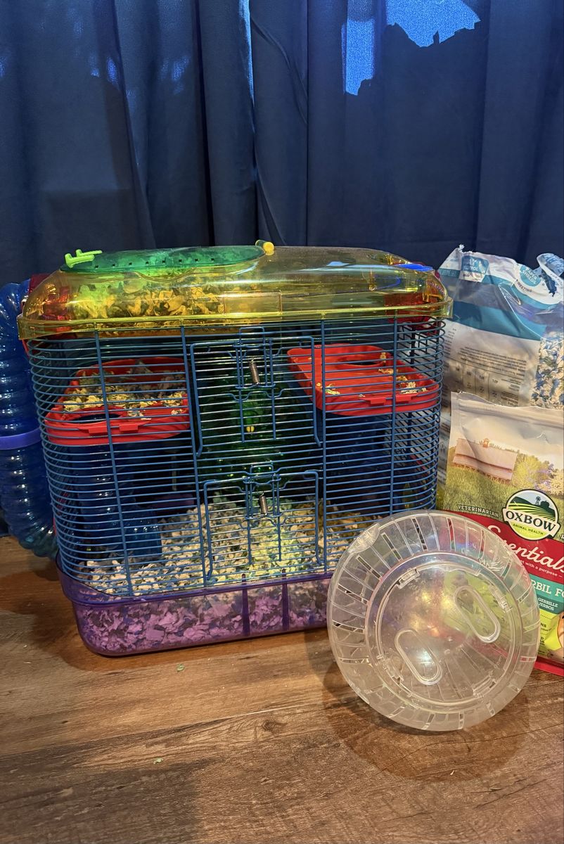 Hamster starter cage