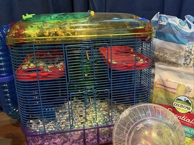 Hamster starter cage