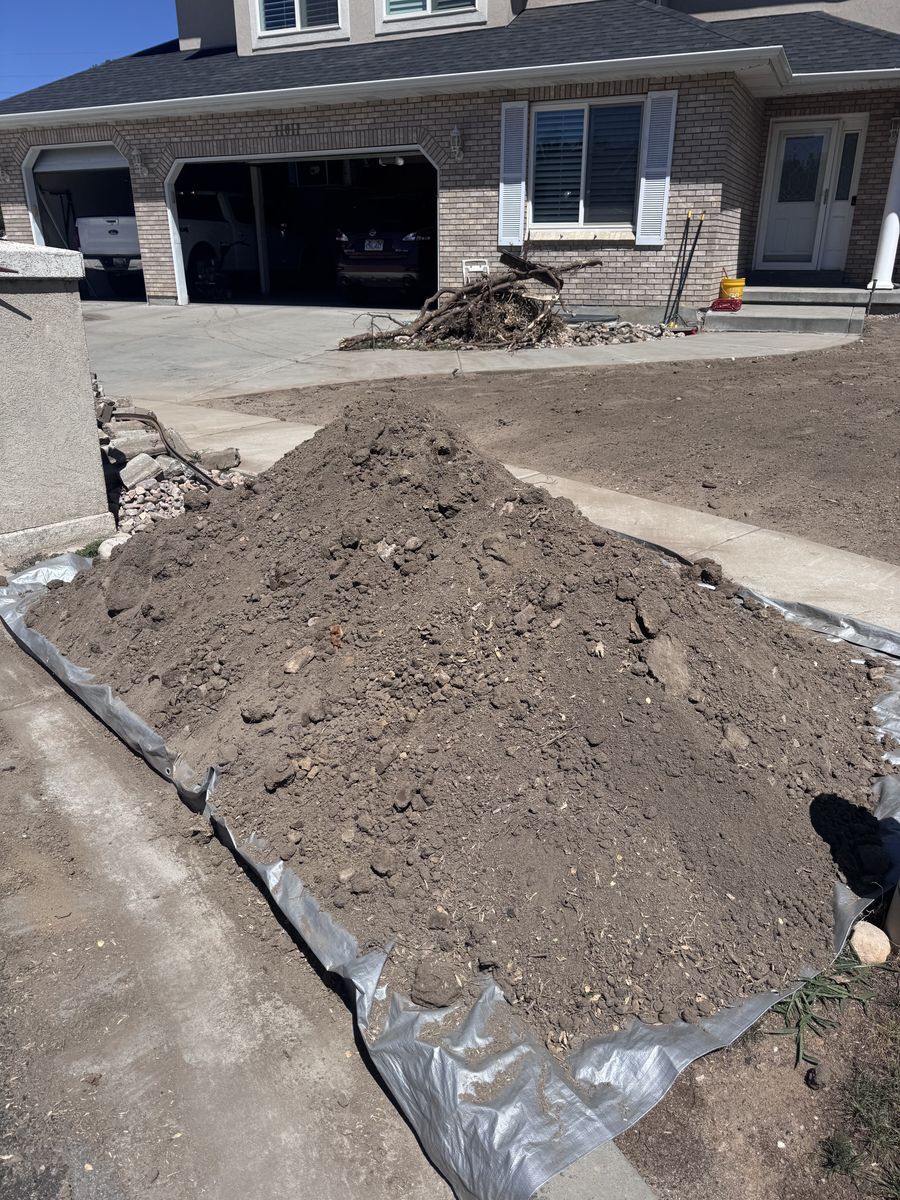 Free Dirt - Rock free