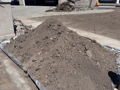 Free Dirt - Rock free